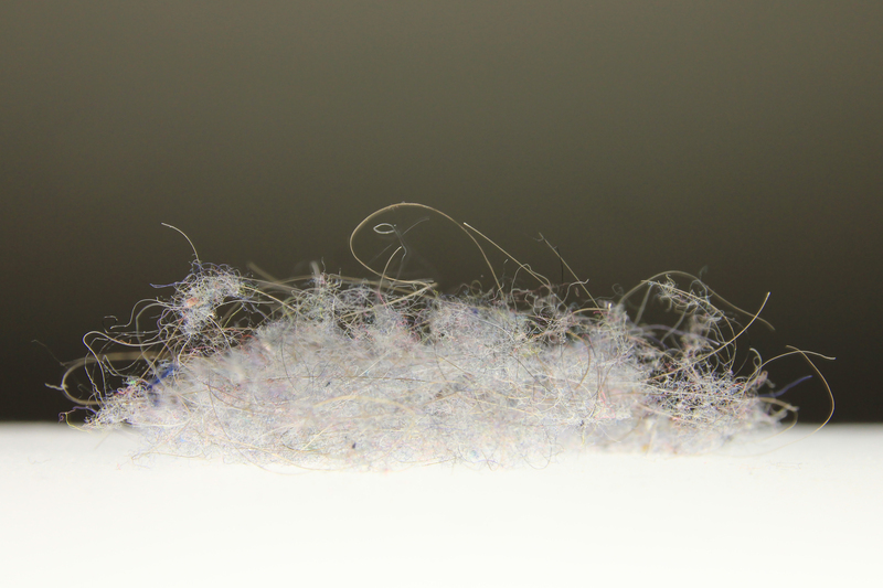 Home cleaning carpet cleaning