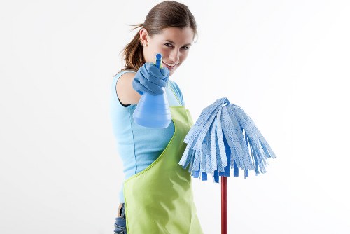 Professional pet stain odour removal in Shooters Hill for carpets and home interiors