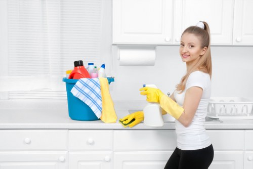 Carpet cleaning supplies and tools arranged for a scheduled job