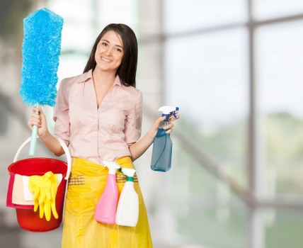 Professional carpet cleaning team working in a Shooters Hill home