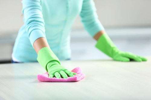 Deep cleaning approach for pet urine stains and odours in Shooters Hill