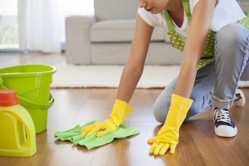 Icon suggesting screen-reader support for Shooters Hill carpet cleaning content